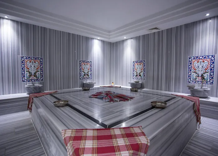 梅维桑spa酒店 4*